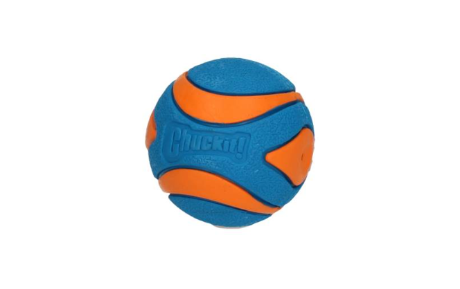 Chuckit Ultra Squeaker Ball L 9 cm